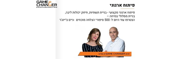 פיתוח ארגוני
