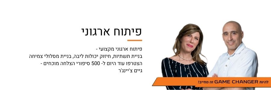 פיתוח ארגוני